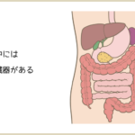 女性の約9割は、腸が下がっている？内臓を整えることが大切な理由