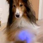 30分でマッサージ10回分？！パルスケアで“芯からゆるむ”新体験